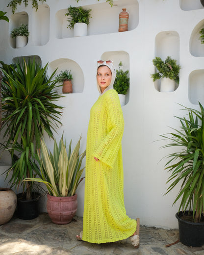 Long Mesh dress