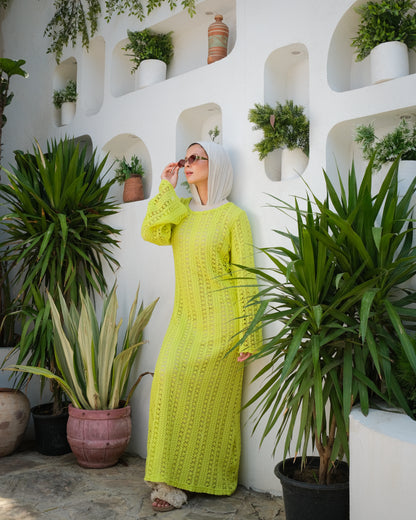 Long Mesh dress