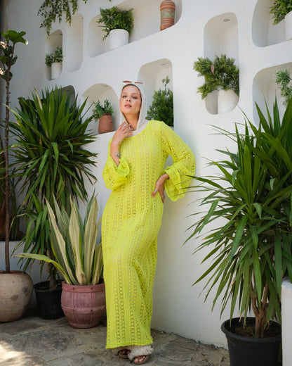 Long Mesh dress